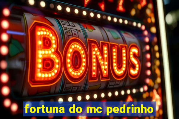 fortuna do mc pedrinho