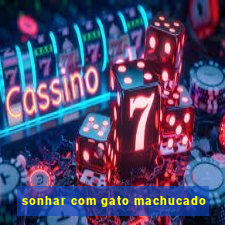 sonhar com gato machucado