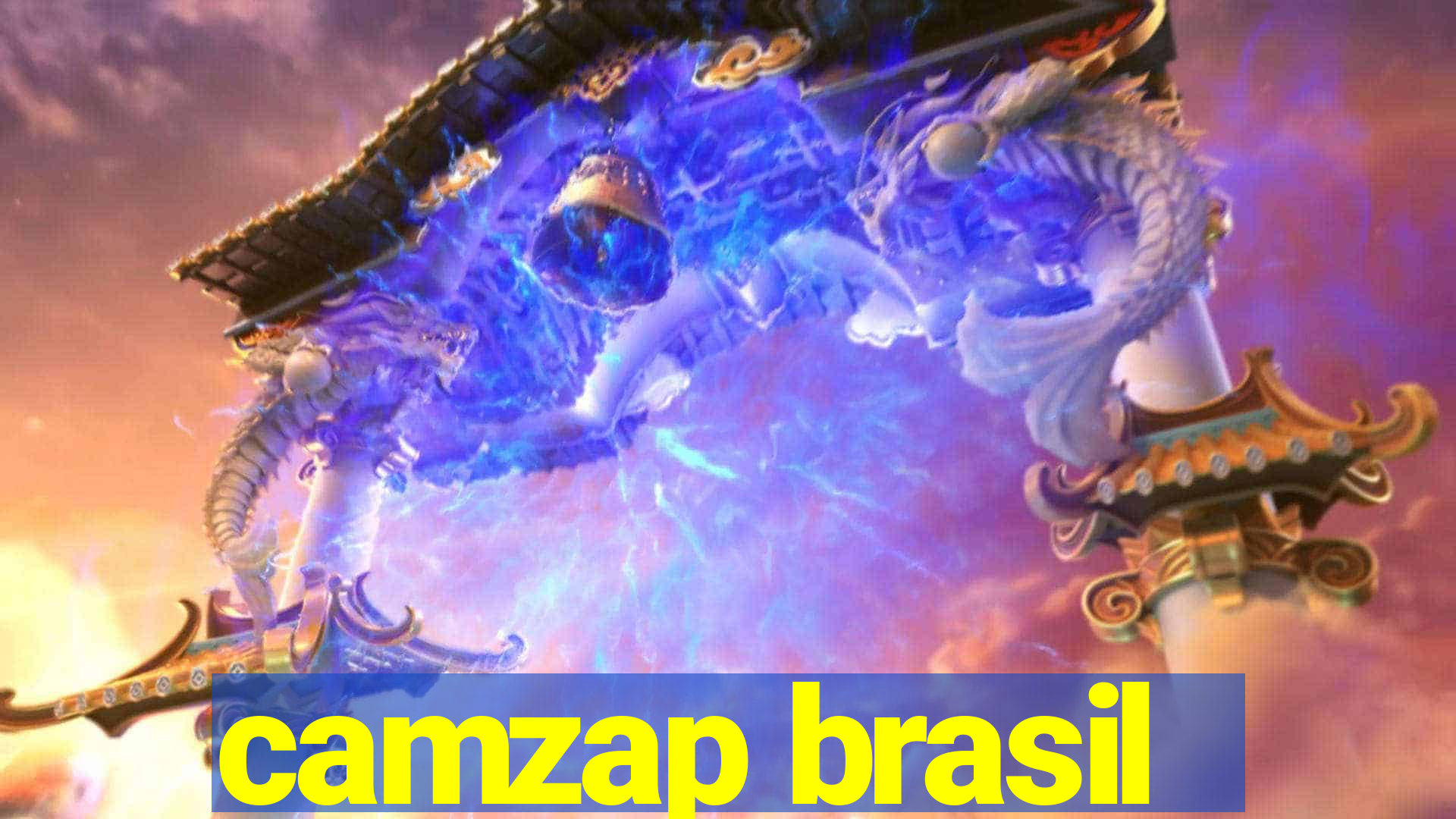 camzap brasil