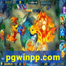 pgwinpp.com