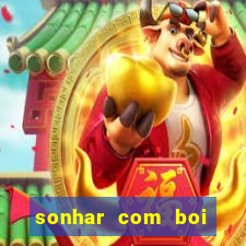 sonhar com boi jogo do bicho