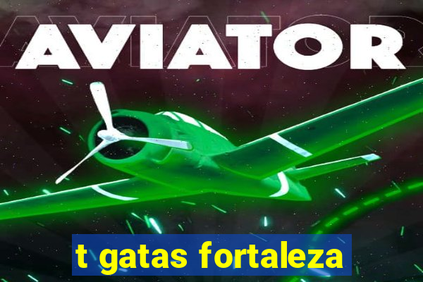 t gatas fortaleza